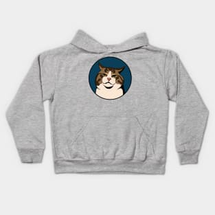 Disappointed Cat - Funny Animal Design Kids Hoodie